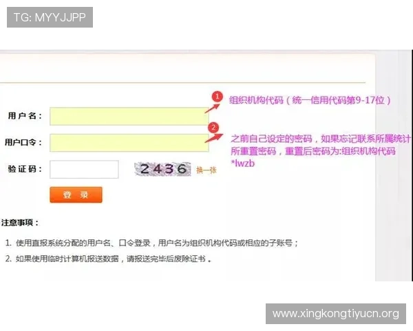 多米官网常见问题FAQ及自助解决方案详尽指南 多米官网常见问题FAQ及自助解决方案详尽指南